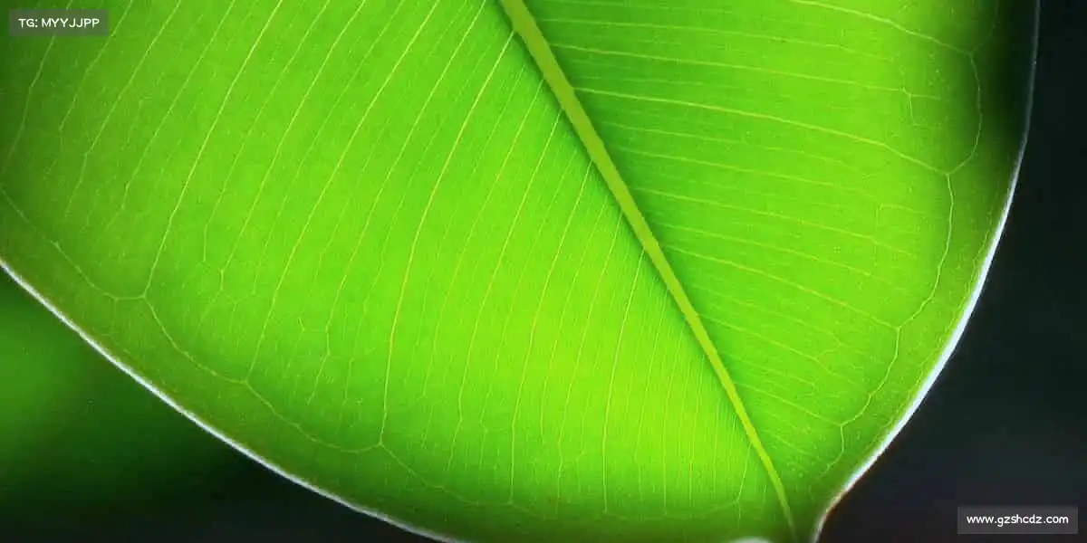 亚星游戏官网——跃动精彩,健康与你同行!🚴